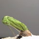 Image for article titled Best of the Week: February 25-March 2, 2012